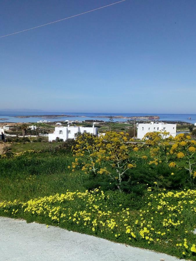 Traditional House Paros Sarakíniko Екстериор снимка