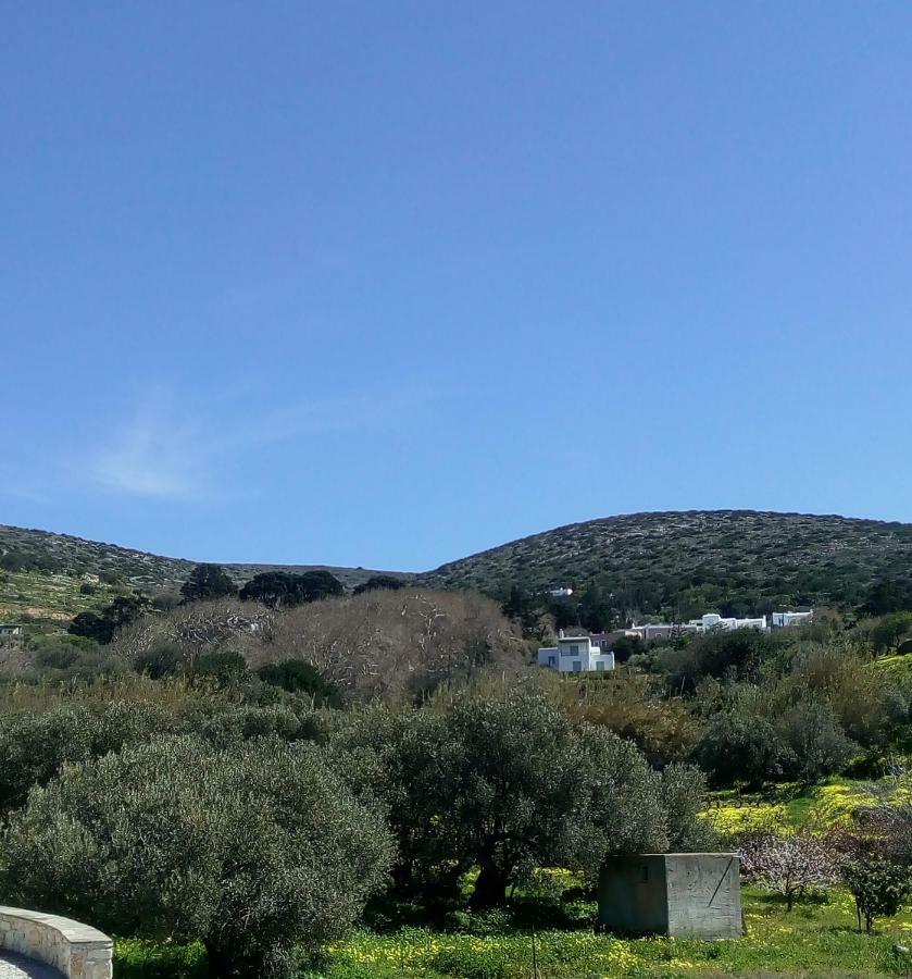 Traditional House Paros Sarakíniko Екстериор снимка